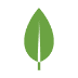 MongoDB